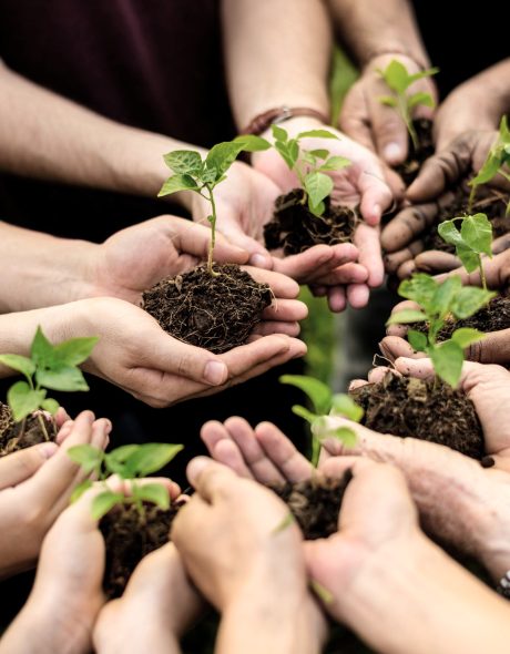 environmentalnonprofitsorganizations_GreenDreamerPodcastonSustainabilityandRegeneration environmentalnonprofitsorganizations_GreenDreamerPodcastonSustainabilityandRegeneration